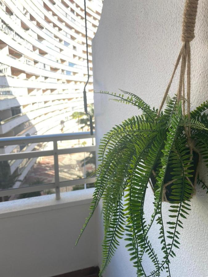 Vive El Mediterraneo - Apartamento Con Piscina En クリェラ エクステリア 写真